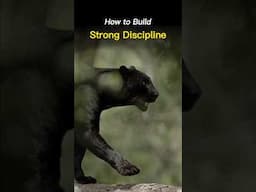 How to build Strong Discipline 💪🏻 #shorts #viral #motivation