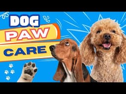 Dog Paw Pad Care