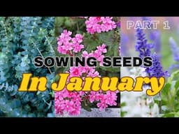 I'm Starting My Garden Seeds in January and You Should Too! 😮🌿🍃 What Seeds to Sow in January 🥶