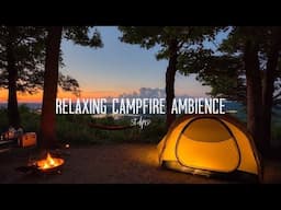 Relaxing Campfire Ambience 🏕️ 4 Hours | 4K Nature White Noise for Studying, Relaxation, or Sleep