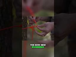 Do you already know these two knots?

Many people know the bowline, but few seem to know these two v