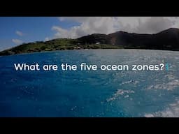 What are the five ocean zones?