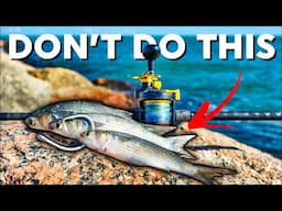 Do Not Go Jetty Fishing without Knowing THIS First - Cut Bait Fishing DEEP