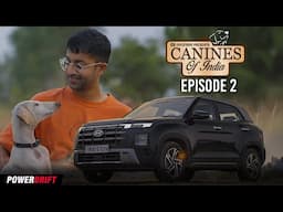 A Search For The Incredible Mudhol Hound - Canines of India - Ep. 2 | PowerDrift