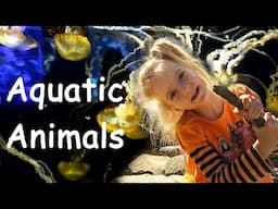 Vera visits the Tennessee Aquarium | Educational Fish and Animals for Kids