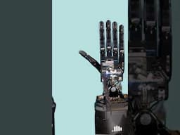 Watch the fascinating evolution of Shadow Robots’ amazing hands. #robot #robotics #engineering