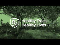 How to Advocate for Healthy Trees, Healthy People