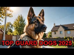 Top 10 Guard Dogs of 2025: Ultimate Protectors Revealed!