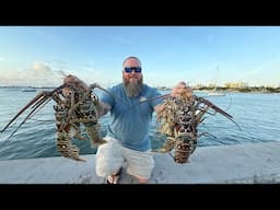 Florida’s Most Expensive Seafood All in One Trip! | Lobster, Shrimp, Stone Crab | Catch, Clean, Cook