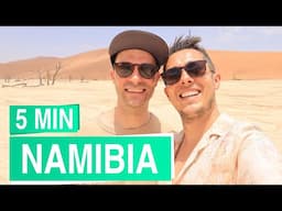 Namibia in 5 minutes 🐘🦒🦁 Safari in Etosha + Dunes in Sossusvlei