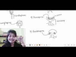 Kingdom Fungi | Biological Classification | NCERT | Class 11 Biology | NEET Series Video 7