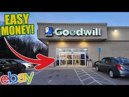 This Goodwill Had SUPRISINGLY GREAT Stuff to Sell on Ebay and Amazon FBA! Thrifting Ride Along!