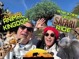 African Safari Experience | Animal Kingdom Disney tour