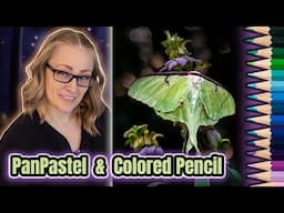 Luna Moth in  Colored Pencil & Pan Pastels - Full Tutorial