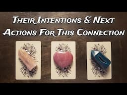 ♥️☎️ Their Intentions & NEXT Actions! 👑♥️ Pick A Card Love Reading