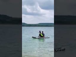 DOBERMANS FIRST TIME ON A PADDLE BOARD!