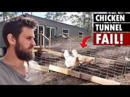 Something KILL3D My Chicken And I Don't Know What or How! Chicken Tunnels Fail