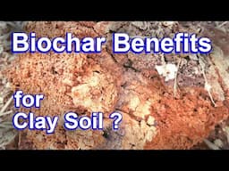 Biochar Benefits - Improving Clay Soil for Garden and Lawns