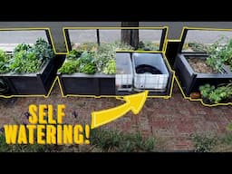 Stylish, self watering raised garden beds! How to build