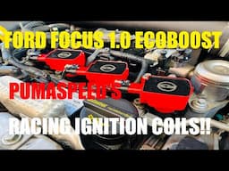 ford focus 1.0 ecoboost STAGE 2R - PUMASPEED’S Racing Ignition Coils installed!! #ford #ecoboost