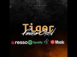 FAVELA GOLD -TIGER(vídeo áudio oficial)