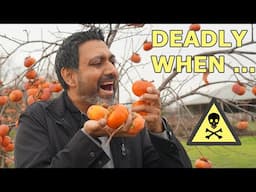 Persimmons Can Be DEADLY, Here's Why ...