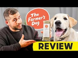 The Farmer's Dog Review : My German Shepherd’s Thoughts on Their Dog Food