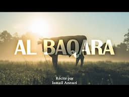 Sourate Al-Baqara (La Vache) – Magnifique Récitation du Coran qui Apaise et Protège | Ismail Annuri