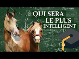 LEQUEL SERA LE PLUS INTELLIGENT ? - Baly, Ace et Nagini au défi !