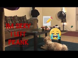 I LEFT YOU PRANK!! I PRANK MY GIRLFRIEND !! LOL