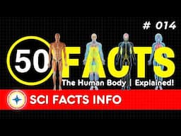 50 Mind-Blowing Facts [ 014 ] About Your Body!