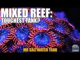 MIXED REEF Tanks - Toughest Type of Tank to Keep? - Mark Callahan - Mr. Saltwater Tank