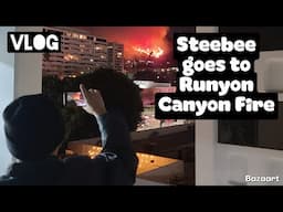 Steebee goes to Runyon Canyon Fire (VLOG)