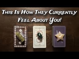 💞🌸 THIS Is HOW THEY Currently FEEL About YOU! 🌸💞 Pick A Card Love Reading