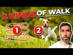 How to Walk Your Dog: The Two Types of Dog Walks Every Dog Owner Should Know