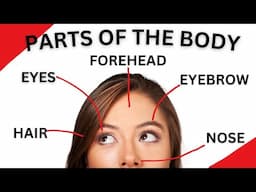 Parts of the Body In English 🧠 50+ Body Parts Names in English 👀 English Vocabulary Lesson