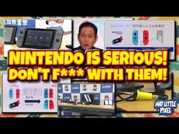 First Japan Arrest For Switch Mods & Illegal Nintendo Emulators & Joy-Cons😱