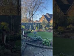 Last Week of Autumn 2024 🍂 #shorts  #garden #englishgarden