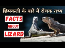 छिपकली के बारे में रोचक जानकारी | Top 20 Interesting Facts about Lizard | In Hindi