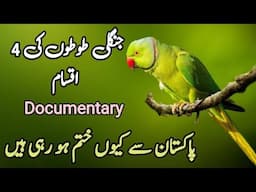 Wild Parrots and their decline in Pakistan | Wildlife of Pakistan