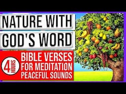 Alone With God Play These Scriptures And See What God Does | Bible Verses For Sleep