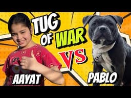 Aayat Arif || Aayat Vs Pablo || vlog