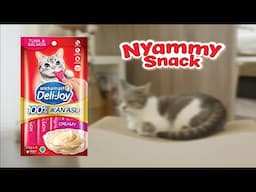 Deli-Joy Nyammy Snack 60s