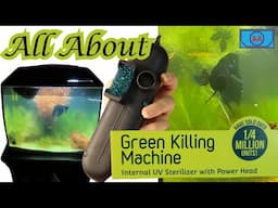 All About AA Green Killing Machine | Fix Green Aquarium Water FAST!