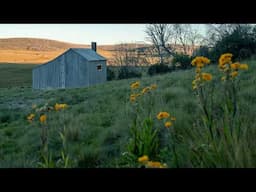 Brooks and Happys Hut Restoration | Scenic Kosciuszko Post-Bushfire Hut Rebuild Part 5