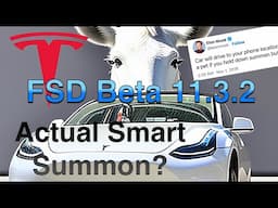 Tesla FSD Beta v11.3.2- Actual Smart Summon (ASS) Working?!? 2022.45.11