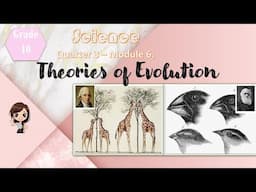 Science 10 ǀ Q3 Theories of Evolution ǀ Taglish