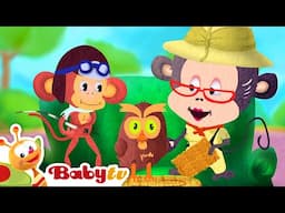 Porcupines - Animals with Quills 🦔🌙 | Learn About Animals @BabyTV