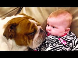 TOP Funny BABY AND DOG Moments Will Make You Laugh Out Laugh || Cool Peachy🍑