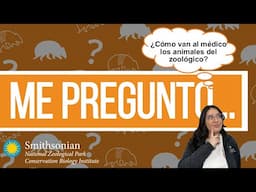 Me pregunto - ¿Cómo van al médico los animales del zoológico?